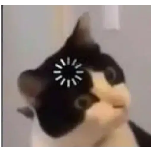Figurinha: Gato com loading