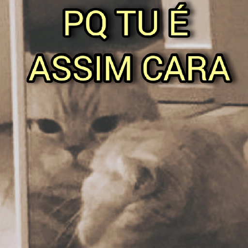 Figurinha: Gato Pergunta Por Que Tu É Assim