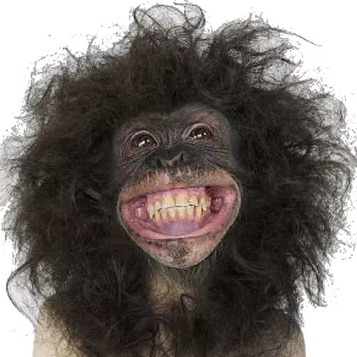 Figurinha: Macaco Sorridente