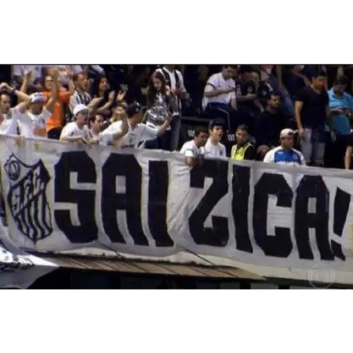 Figurinha: Sai Zica