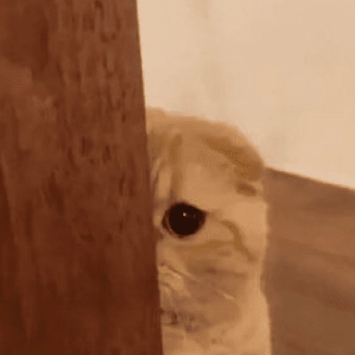 Figurinha: Cachorro espião