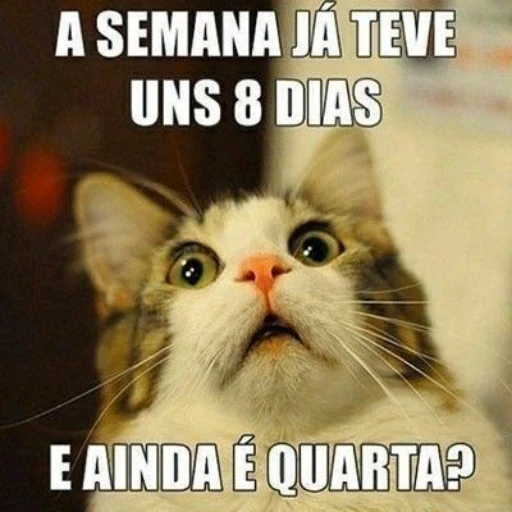 Figurinha: A semana já teve uns 8 dias?