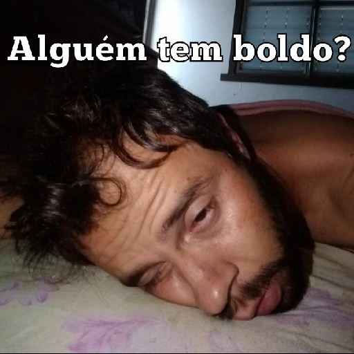 Figurinha: Alguém tem boldo?
