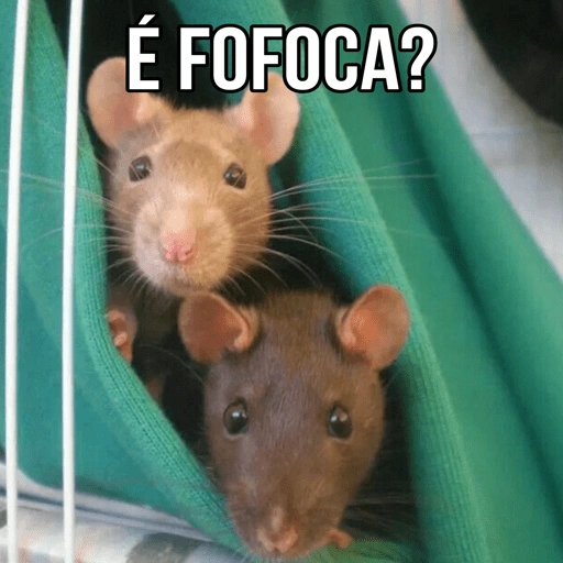Figurinha: É fofoca?