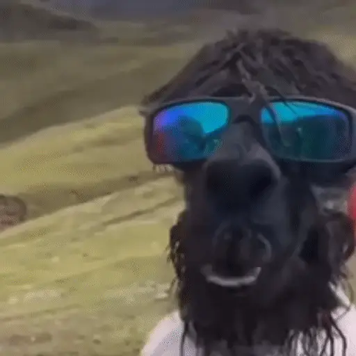 Figurinha: Animal de óculos escuros na montanha