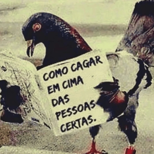 Figurinha: Pombo Lendo 'Como Cagar'