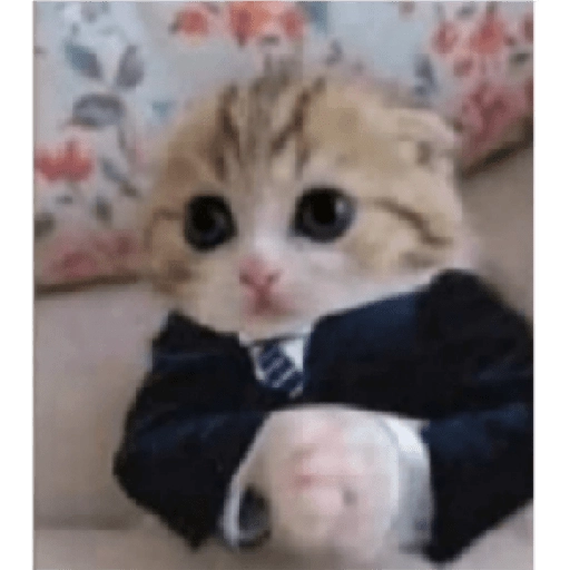 Figurinha: Gatinho de terno