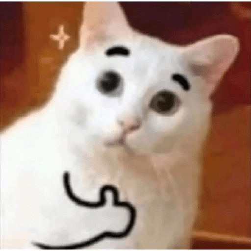 Figurinha: Gato com sobrancelhas engraçadas