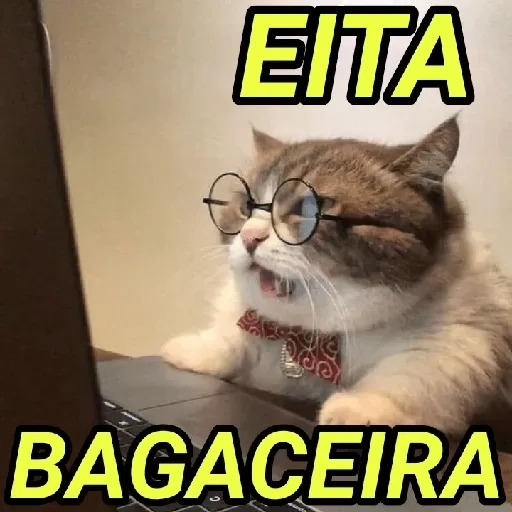 Figurinha: Gato Eita Bagaceira