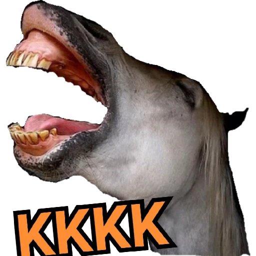 Figurinha: Cavalo KKKK