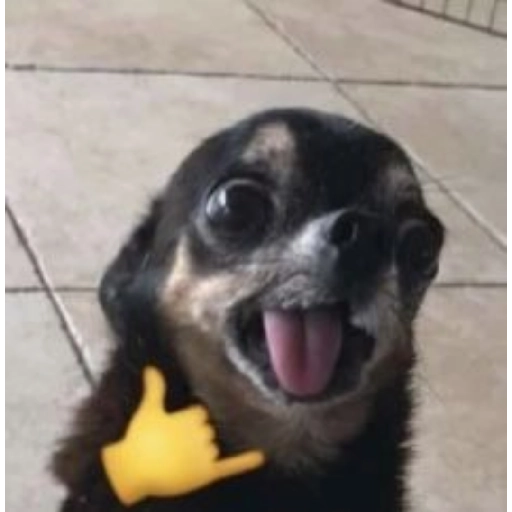 Figurinha: Cachorro Chihuahua Meme
