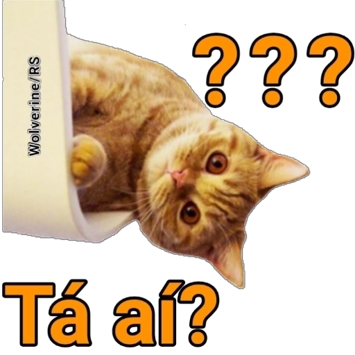 Figurinha: Gato confuso