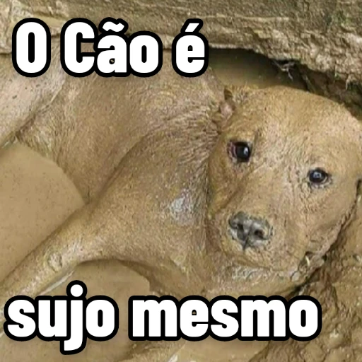 Figurinha: O Cão é sujo mesmo