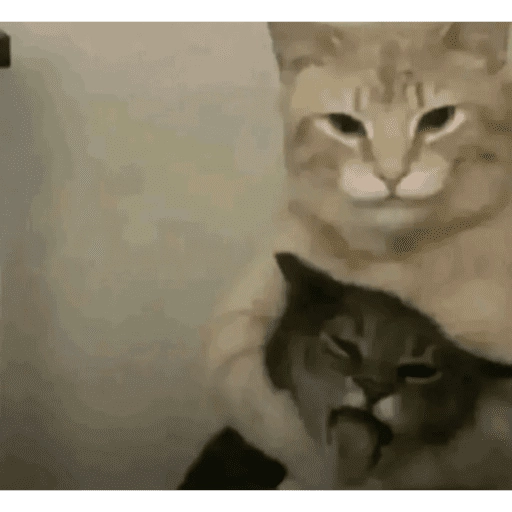Figurinha: Gato abraçando amigo