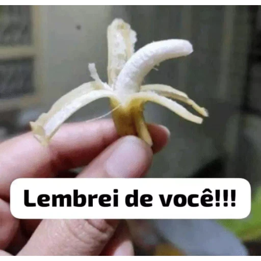 Figurinha: Lembrei de você!!!