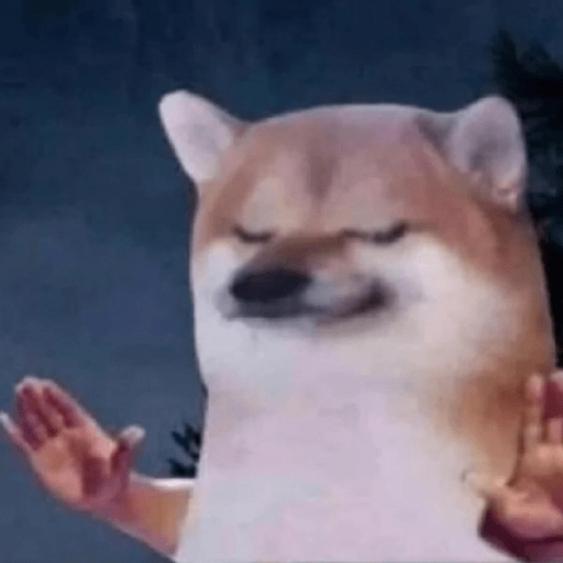 Figurinha: Cachorro zen