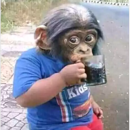 Figurinha: Macaco bebendo refrigerante