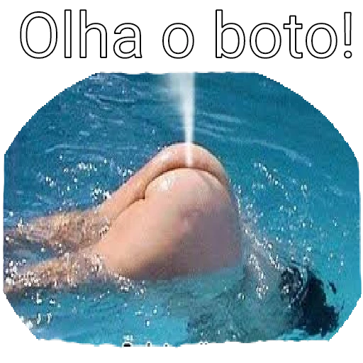 Figurinha: Olha o boto!