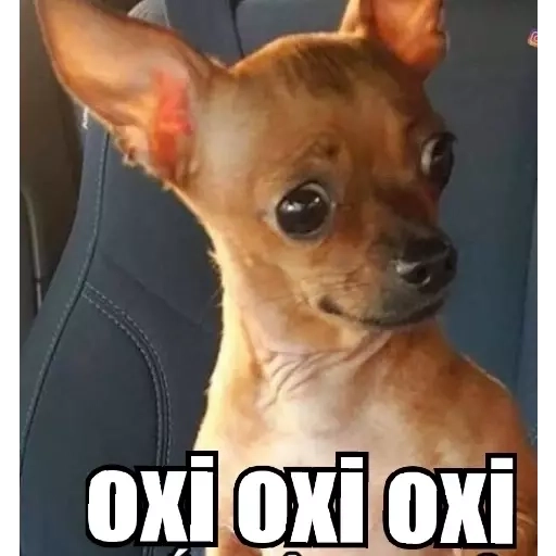 Figurinha: Cachorro 'Oxi Oxi Oxi'
