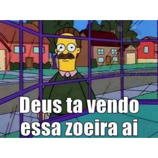 Figurinha: Ned Flanders vendo a zoeria
