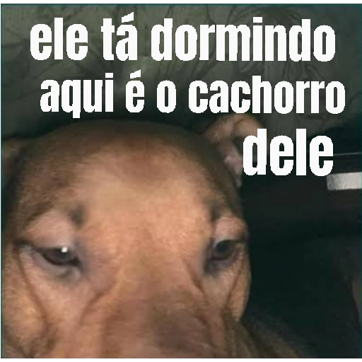 Figurinha: Ele tá dormindo, é o cachorro dele