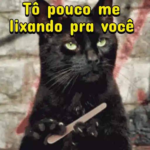 Figurinha: Gato preto "Tô pouco me lixando"