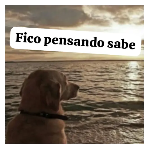 Figurinha: Cachorro pensativo na beira do mar