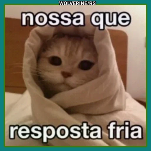 Figurinha: Gatinho enrolado