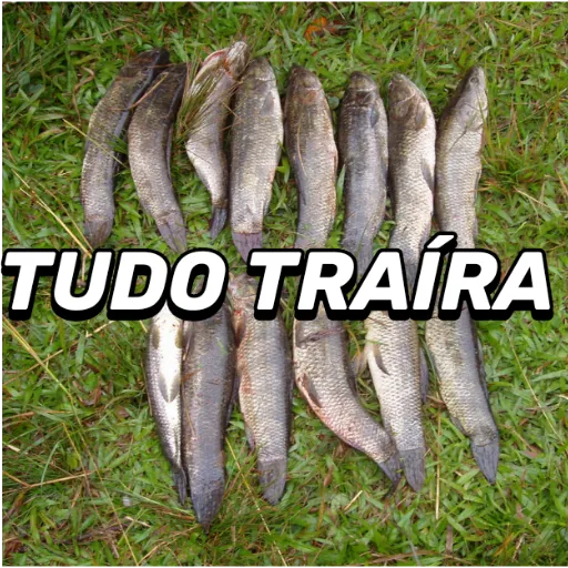 Figurinha: Tudo Traíra