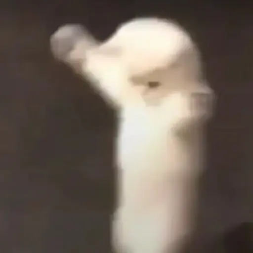 Figurinha: Gatinho Dançando