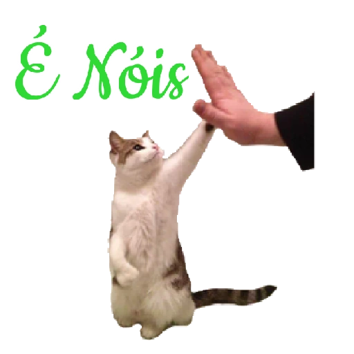 Figurinha: Gato dá high five