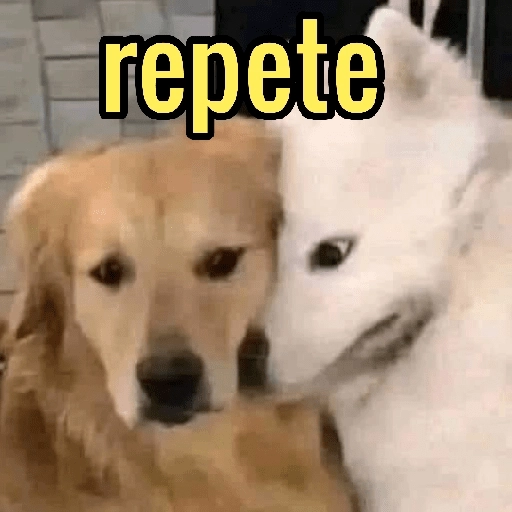 Figurinha: Cachorros 'repete'