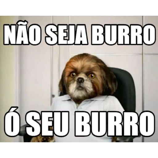Figurinha: Não seja burro, seu burro