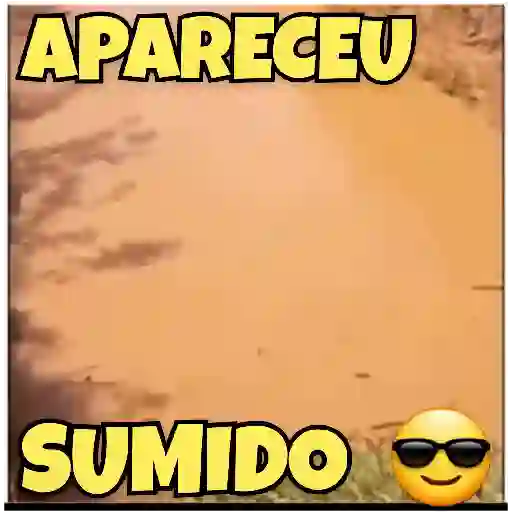 Figurinha: Apareceu Sumido
