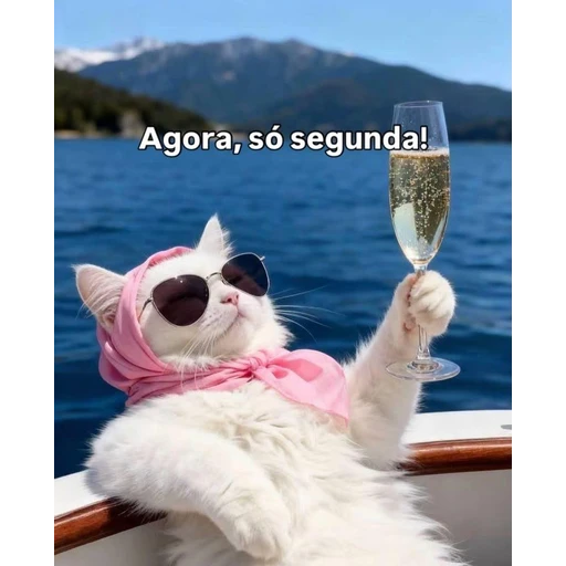 Figurinha: Gato tomando champagne na segunda
