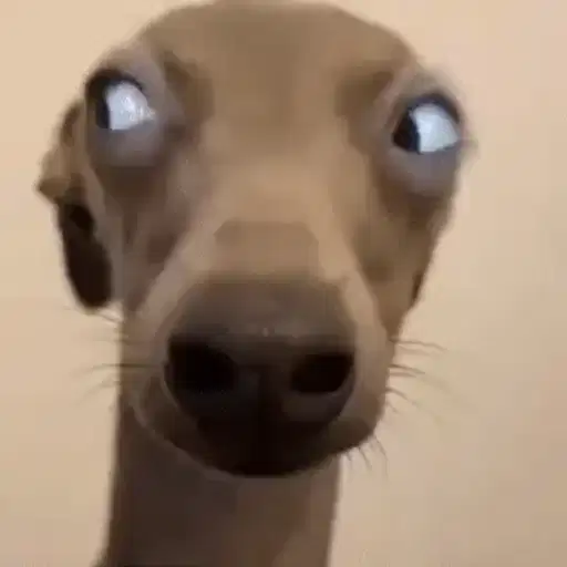 Figurinha: Cachorro assustado