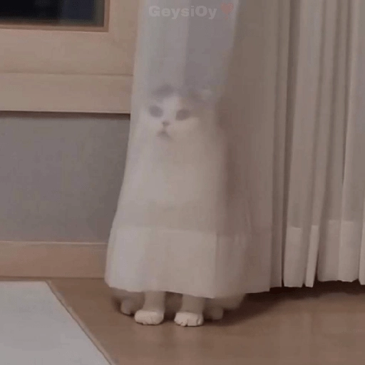 Figurinha: Gatinho espião atrás da cortina