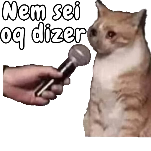 Figurinha: Gato sem saber o que dizer