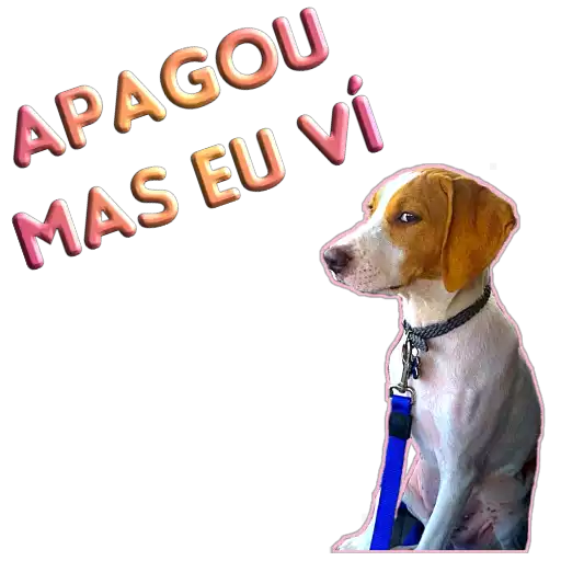 Figurinha: Cachorro 'Apagou mas eu vi'