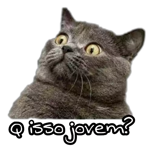 Figurinha: Gato chocado com pergunta