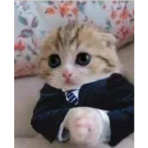 Figurinha: Gatinho de Terno