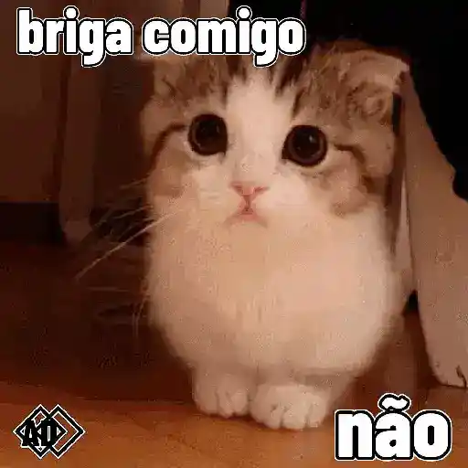 Figurinha: Gatinho pede para não brigar