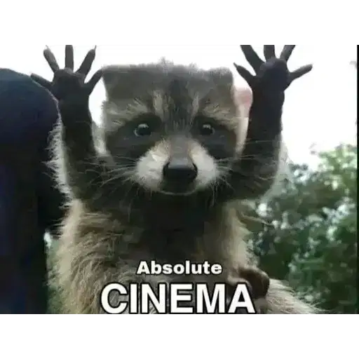 Figurinha: Guaxinim querendo cinema
