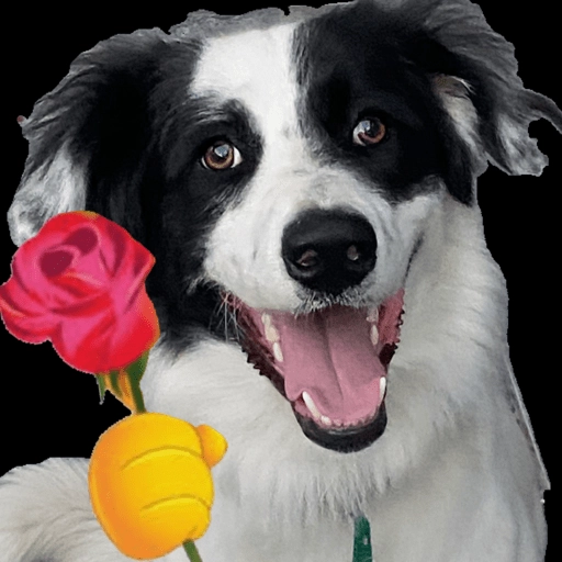 Figurinha: Cachorro com rosa