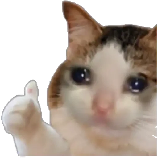 Figurinha: Gatinho triste dando joinha