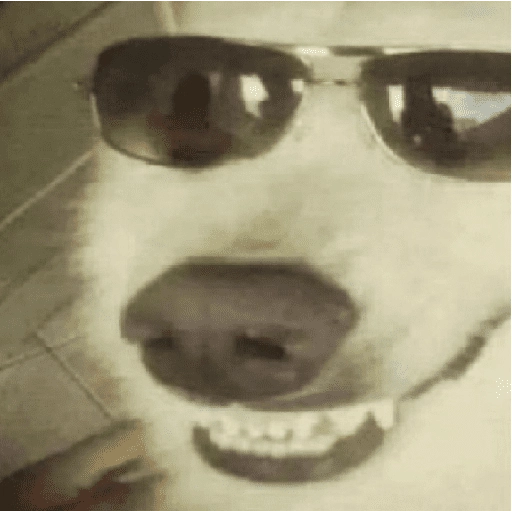 Figurinha: Cachorro de óculos escuros