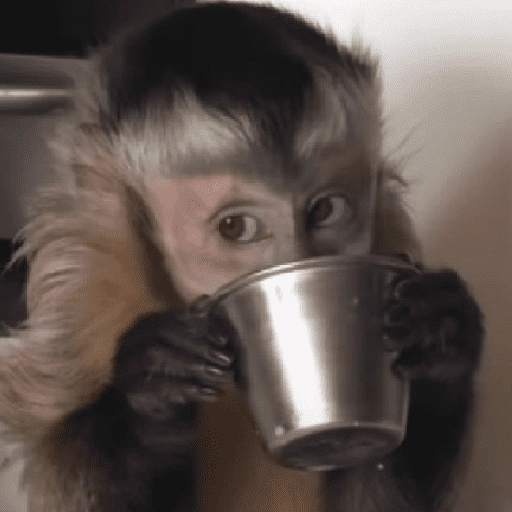 Figurinha: Macaco bebendo em caneca