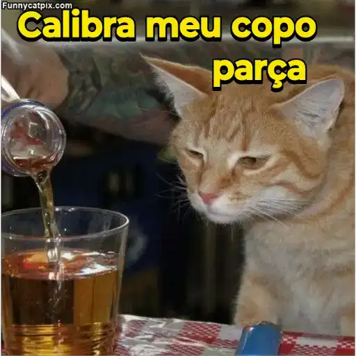 Figurinha: Gato pedindo bebida