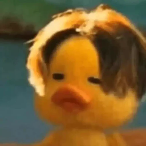 Figurinha: Pato K-pop