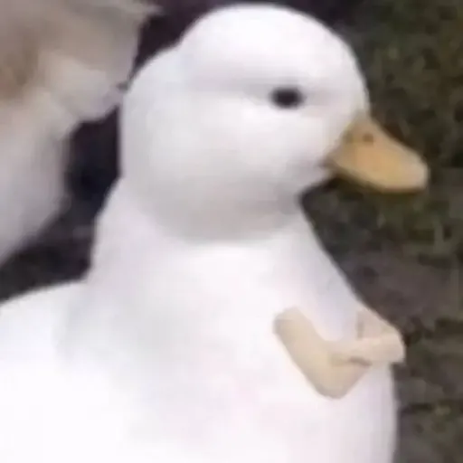 Figurinha: Pato confuso